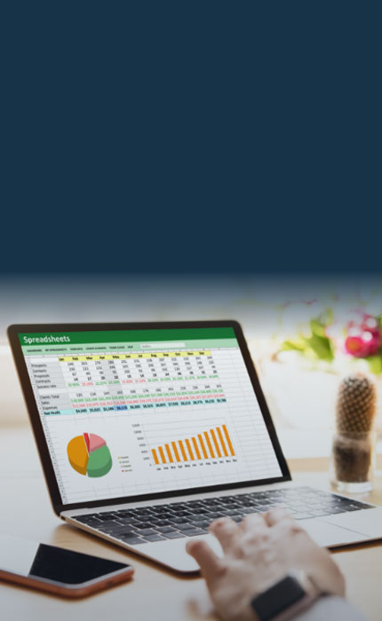 Proficient in Advanced Excel